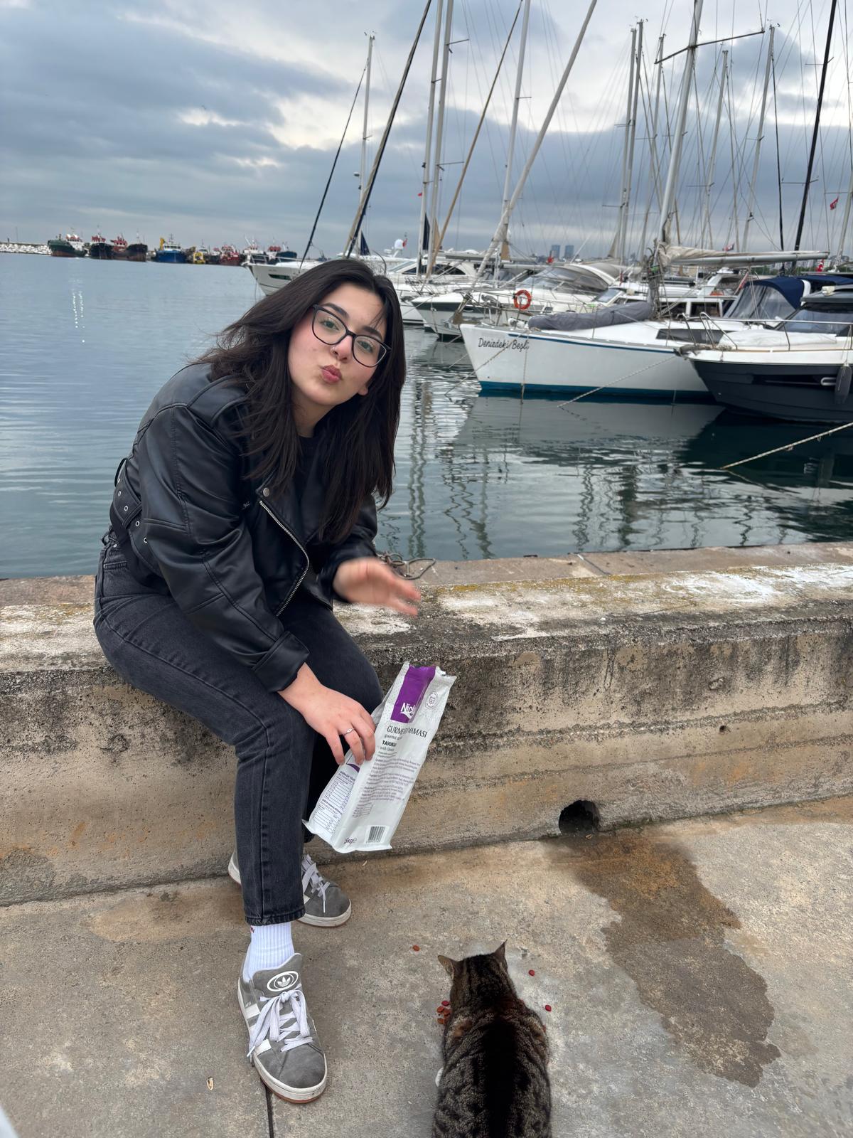 Kedi Besledik